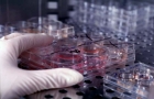 Investitie de amploare in cercetarea academica avansata in domeniul biologiei