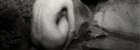 small_664